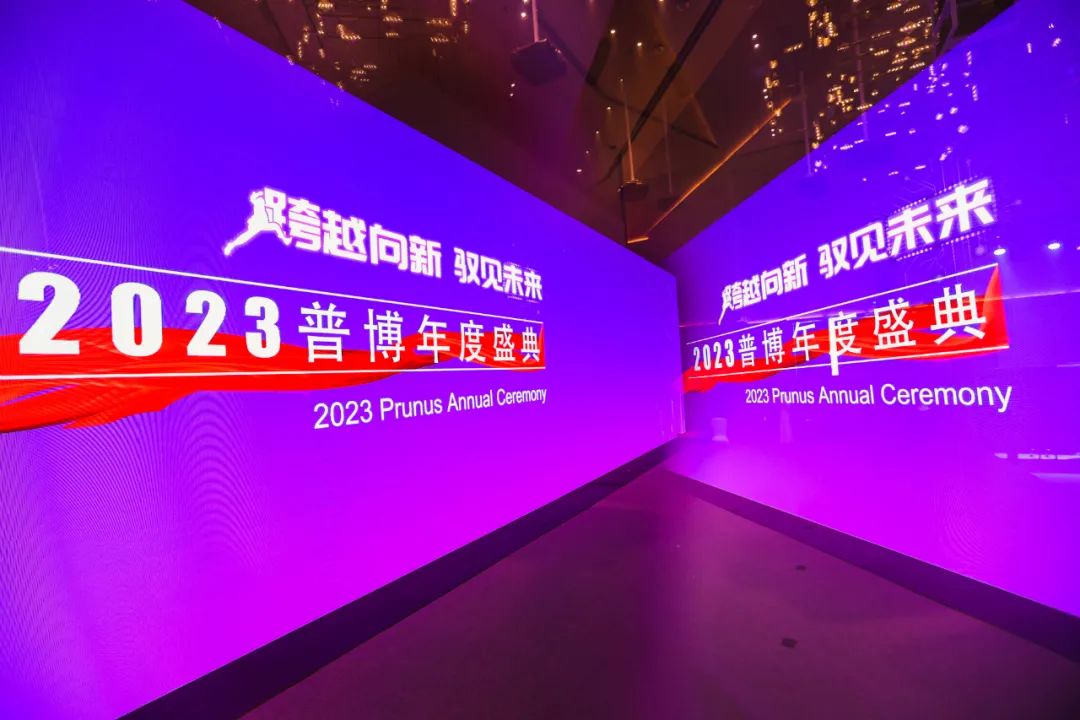 20230627094531100 新盛公司游戏官网 - 卓越成就将来