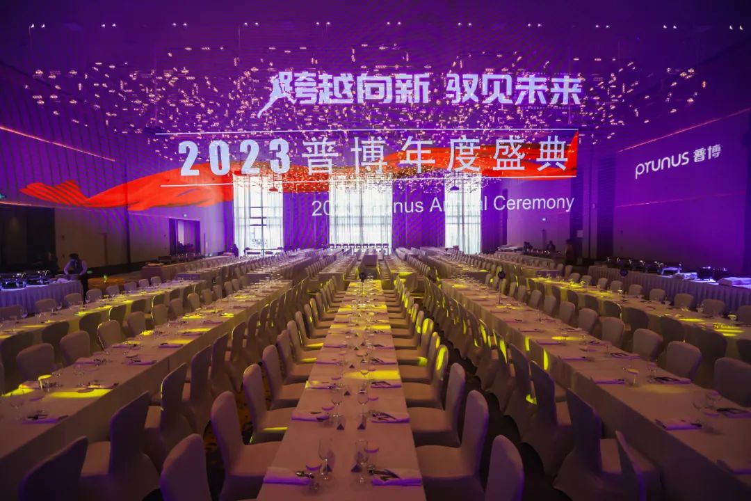 20230627094537960 新盛公司游戏官网 - 卓越成就将来