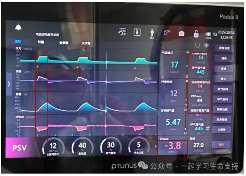 新盛公司游戏官网 - 卓越成就将来