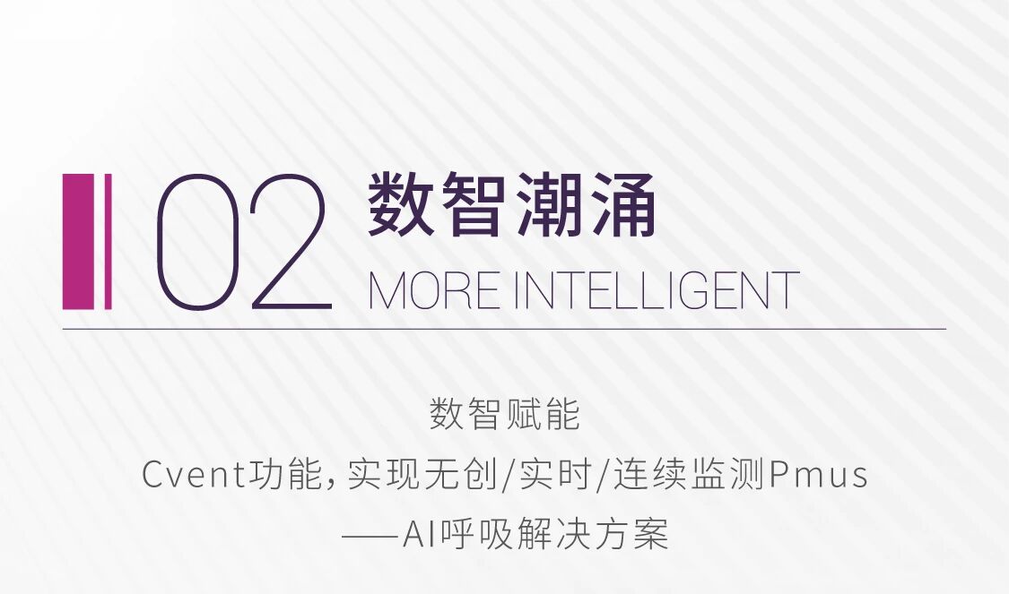新盛公司游戏官网 - 卓越成就将来